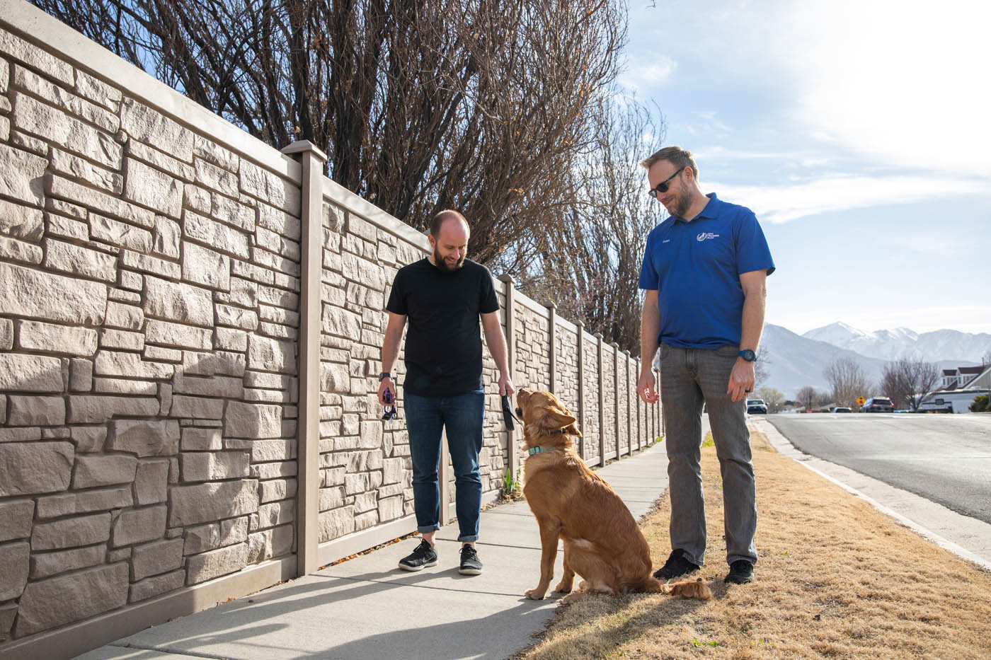 Dog Training Elite Columbus
