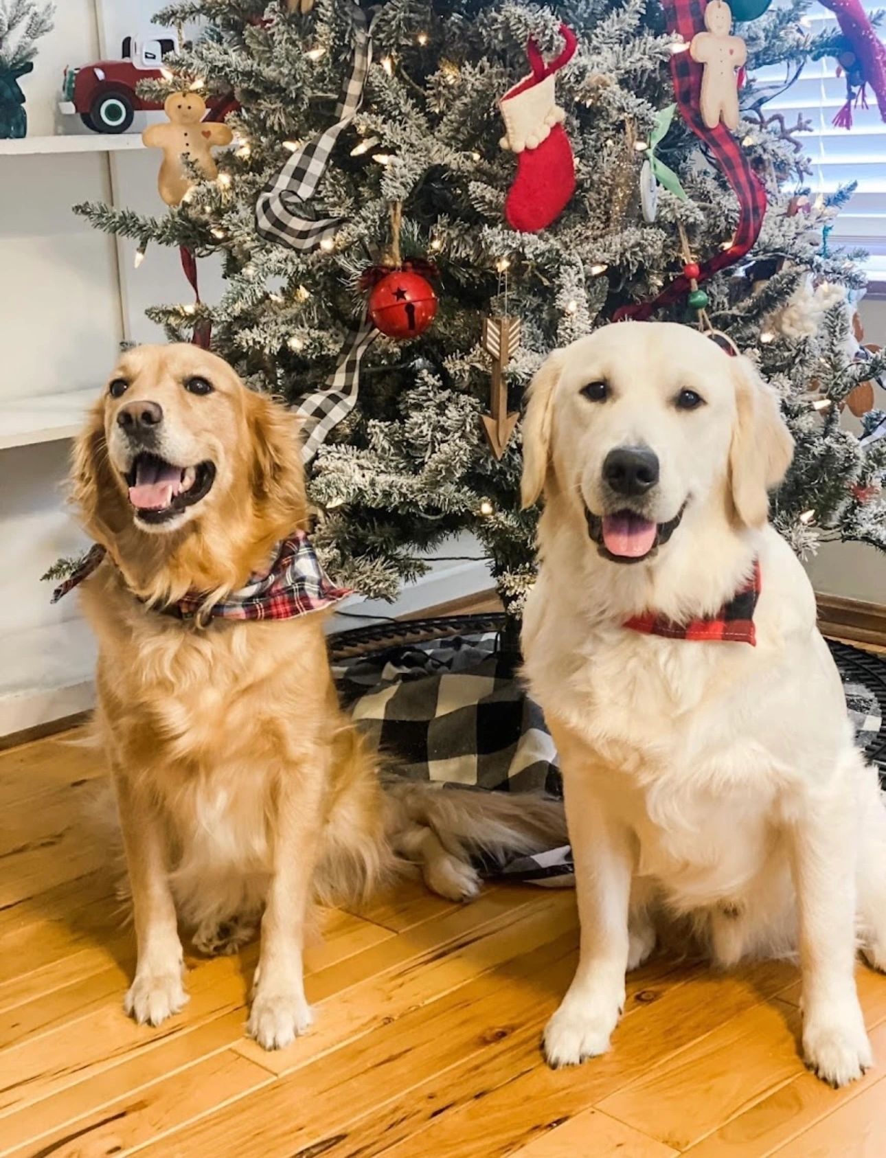 Whiting’s K-9 Services