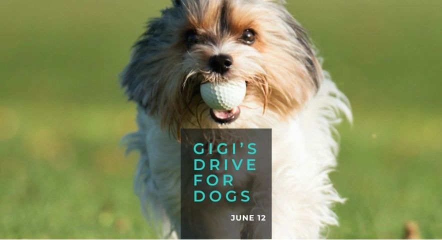 Gigi’s