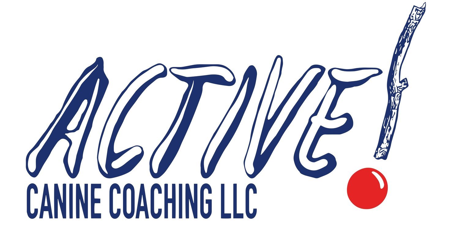 Active! Canine Coaching LLC logo