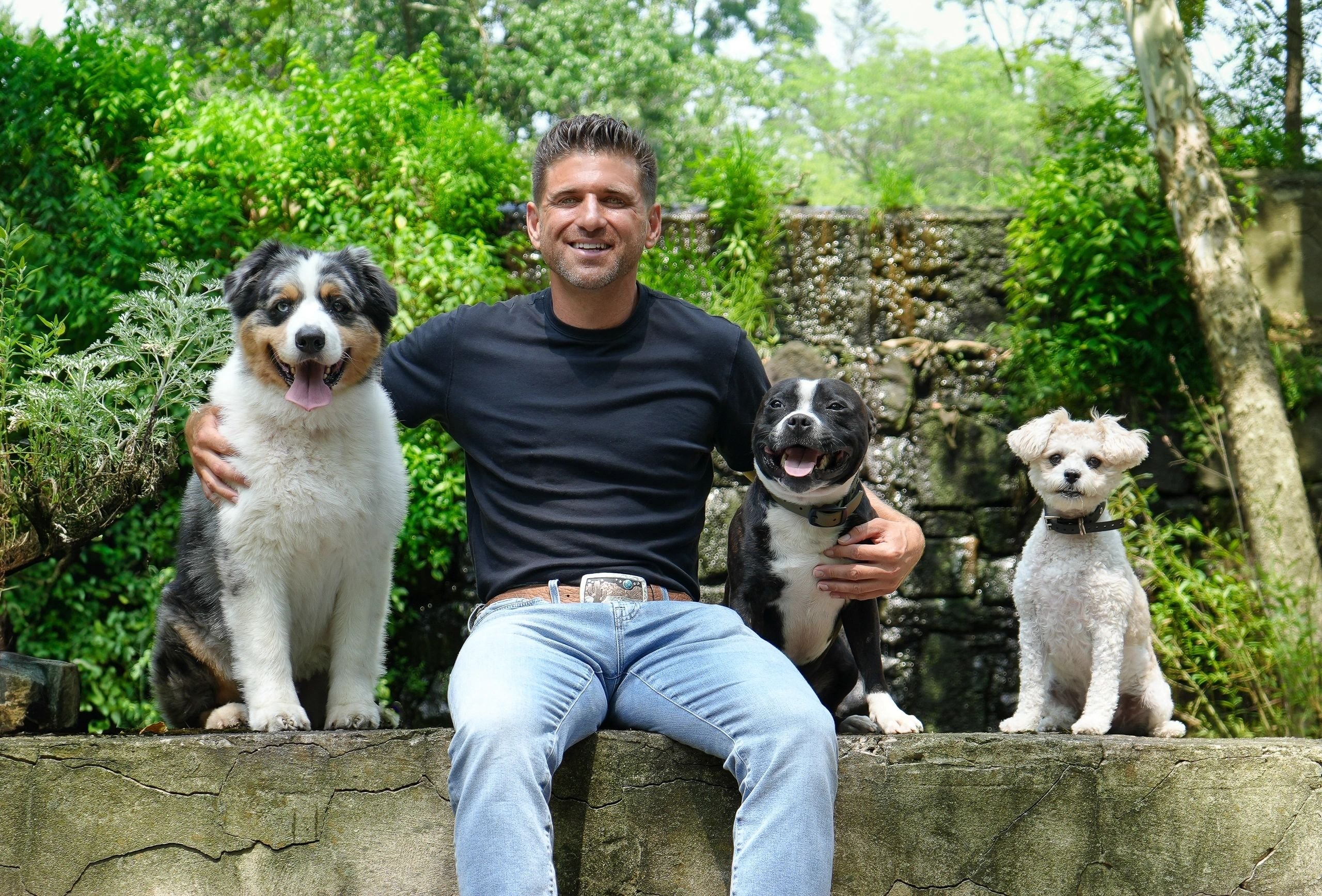 AMG Dog Training LLC