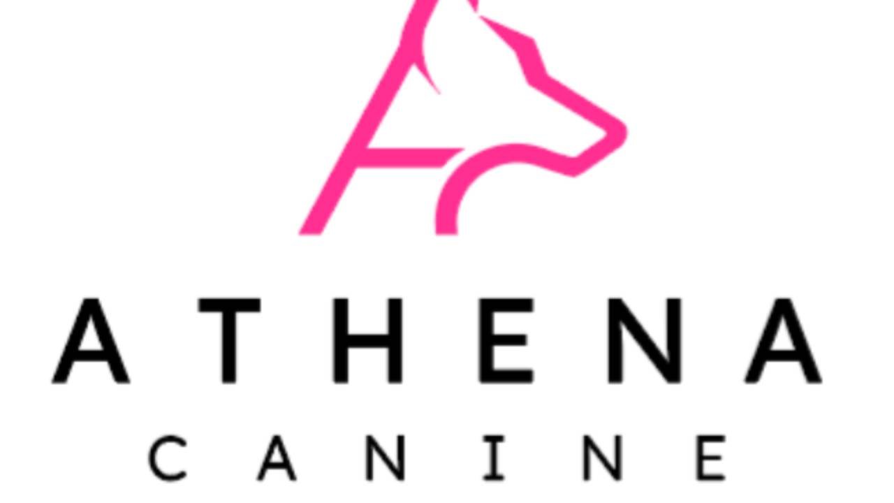 Athena Canine logo