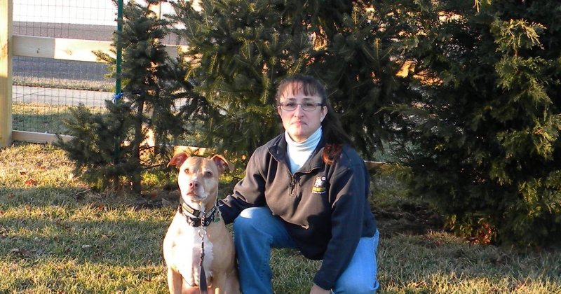 Bark Busters Collegeville, Pottstown and Norristown
