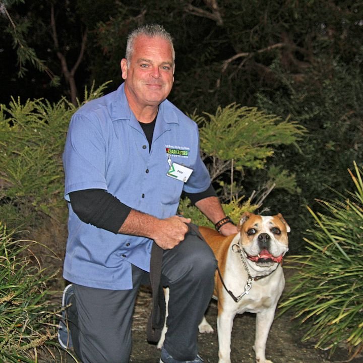 Bark Busters Home Dog Training Bucks County