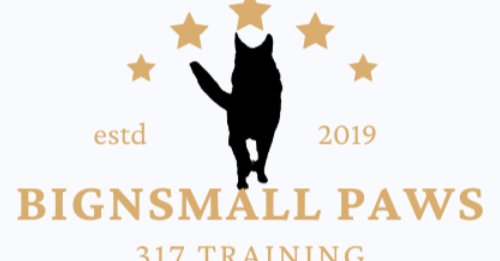 Big N’ Small Paws 317 logo
