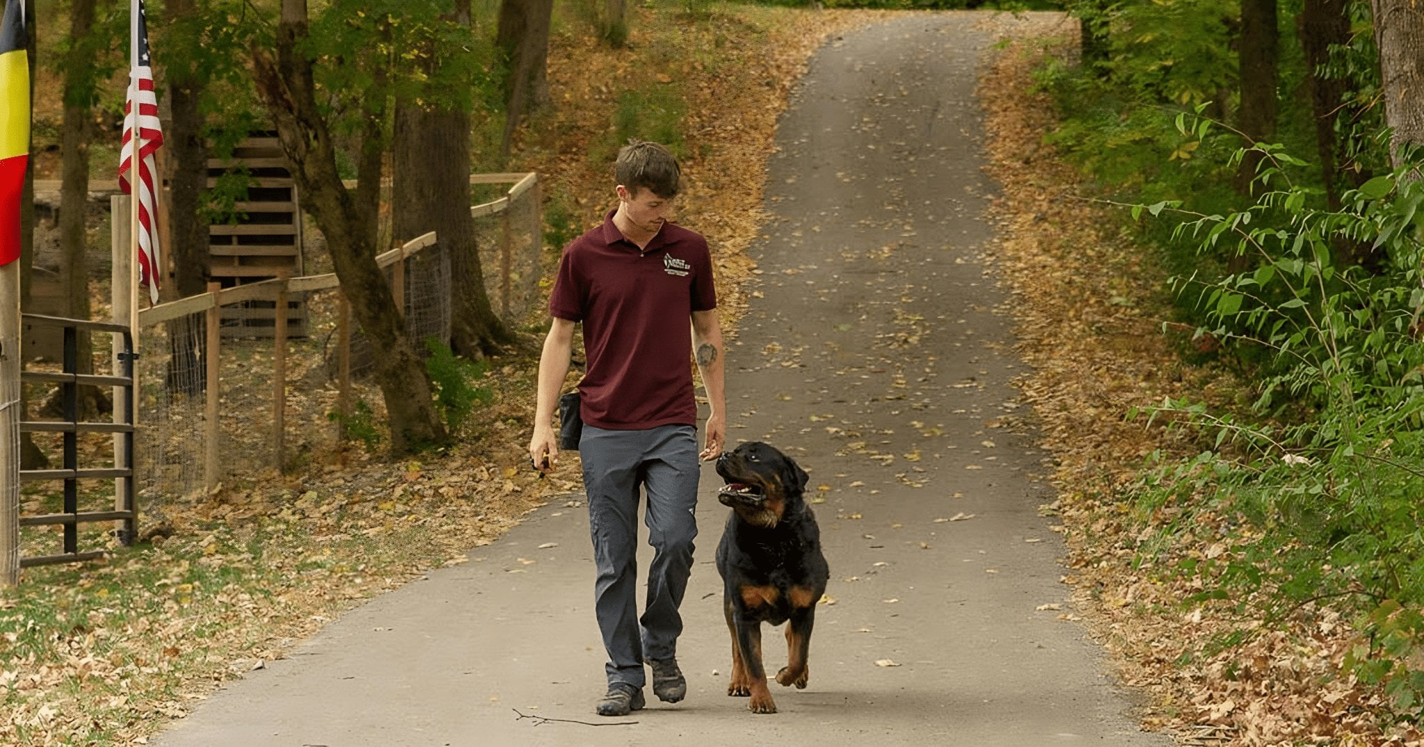Birch Valley K9