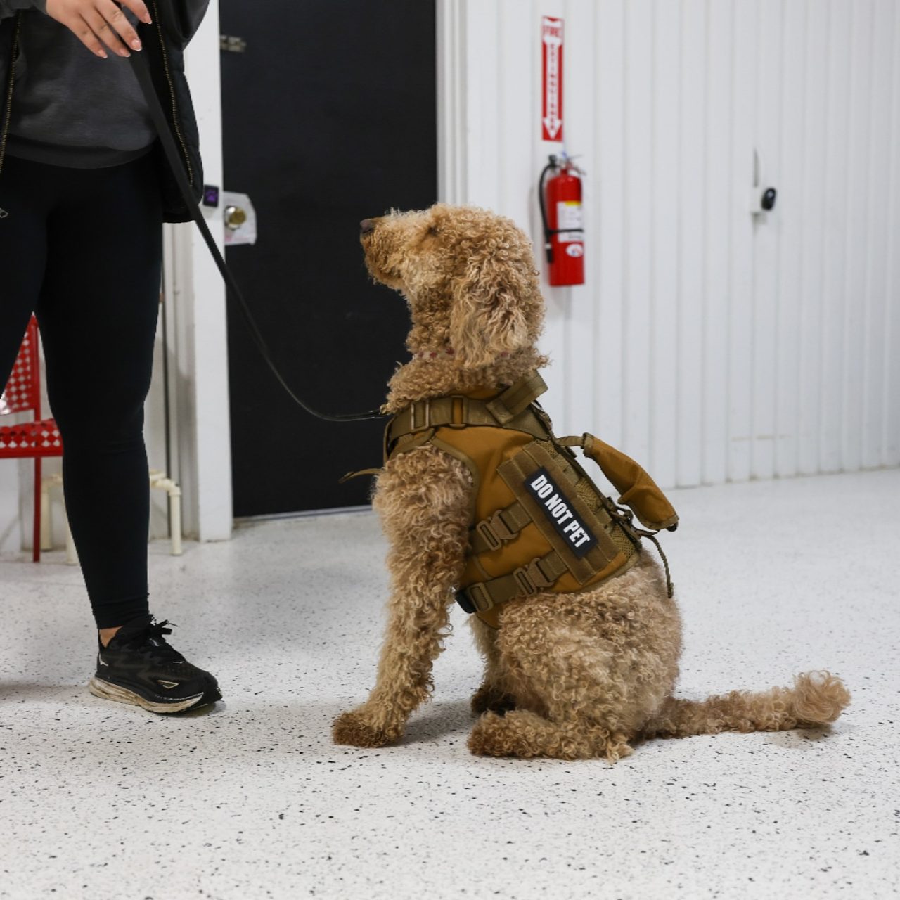 Buckeye K9