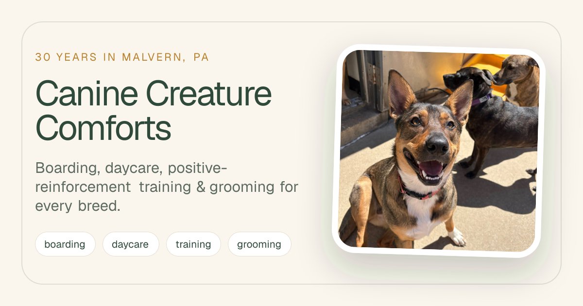 Canine Creature Comforts logo