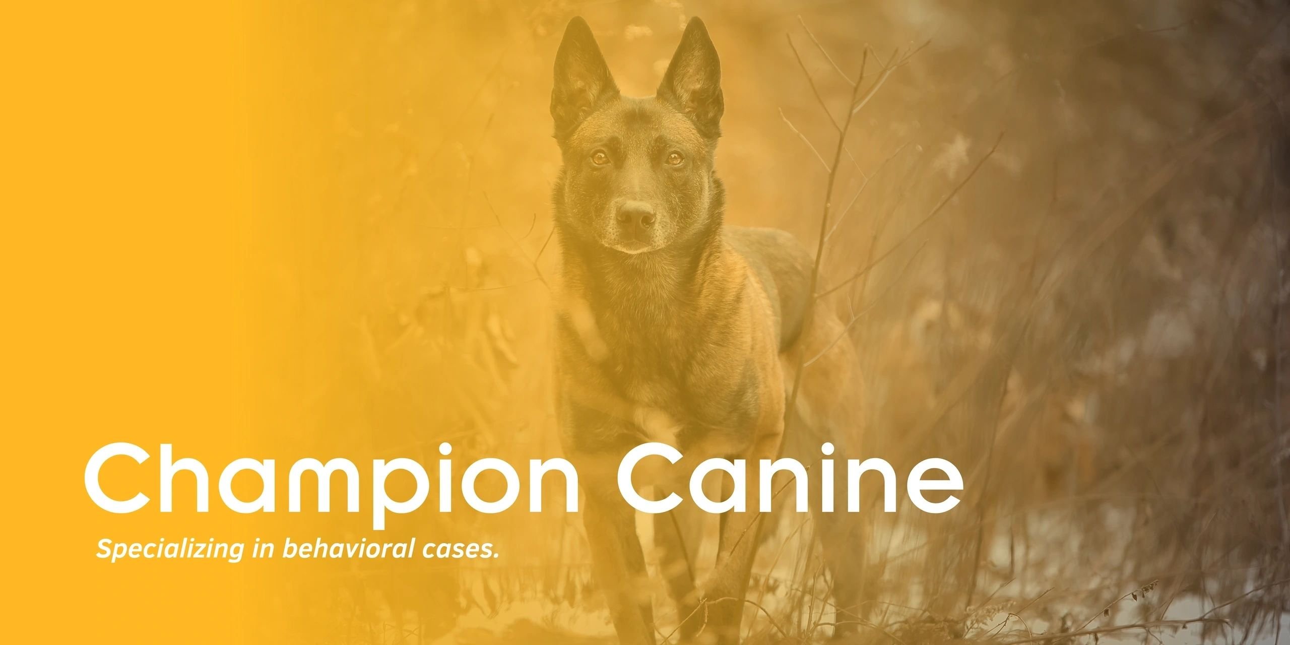 Champion Canine logo