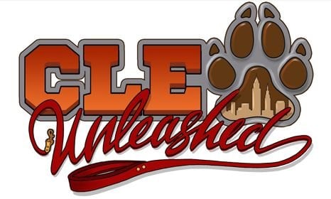 CLE Unleashed logo