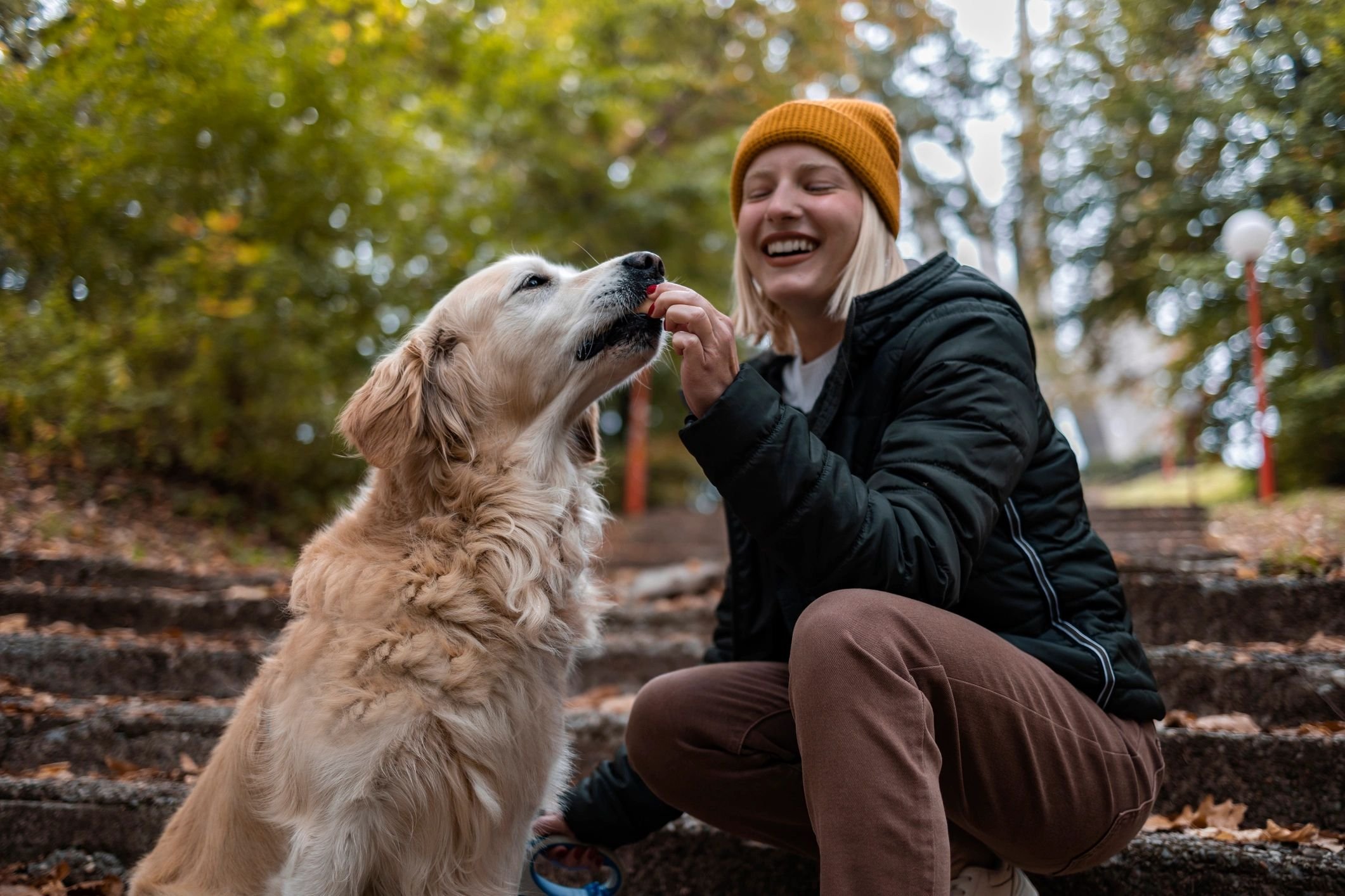 Cleveland Dog Training Classes (formerly The Dog Owner Connectiion)