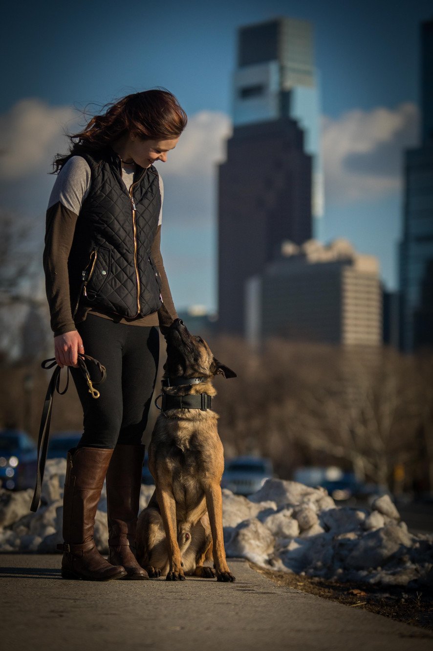 DareDevil Dog Training