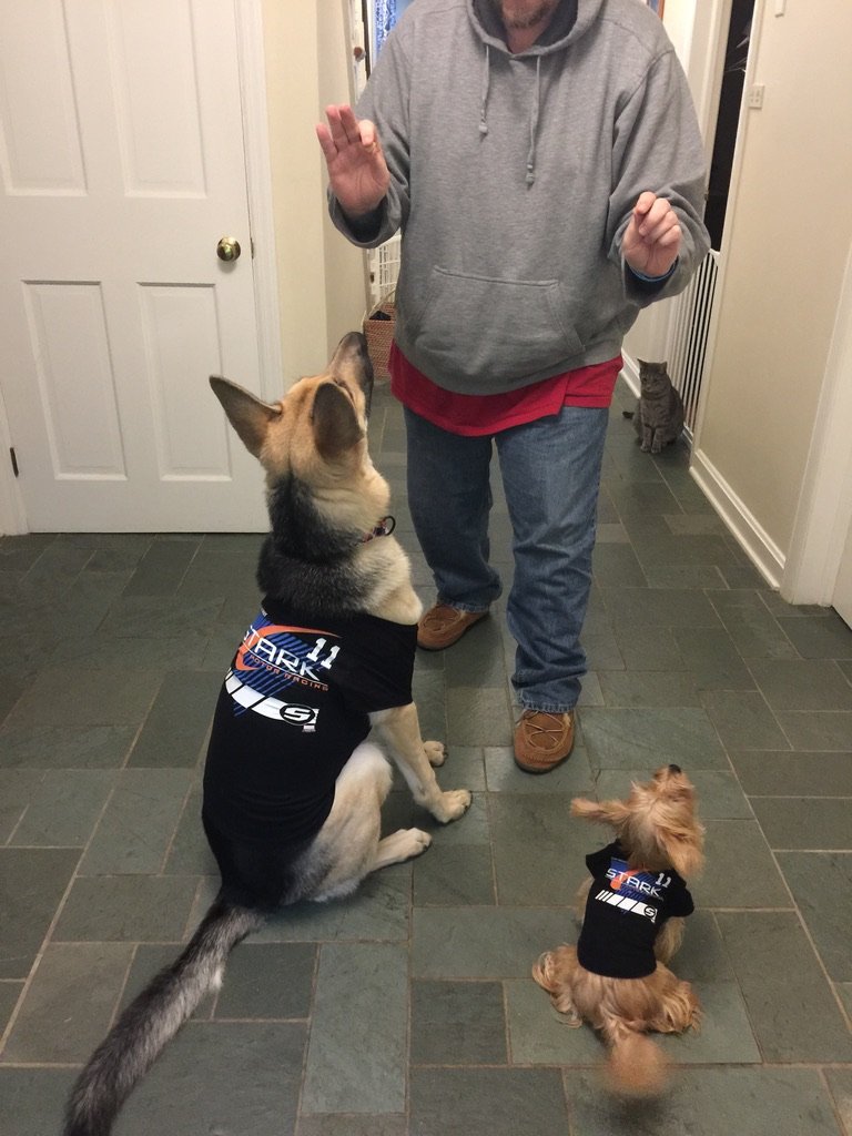 Dawson K9 Solutions