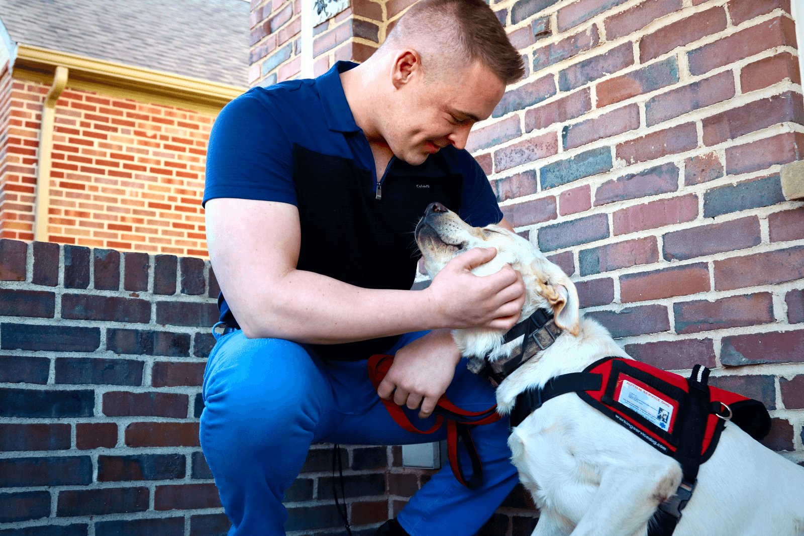 Dog Obedience Guy — dog trainer in Cincinnati, OH