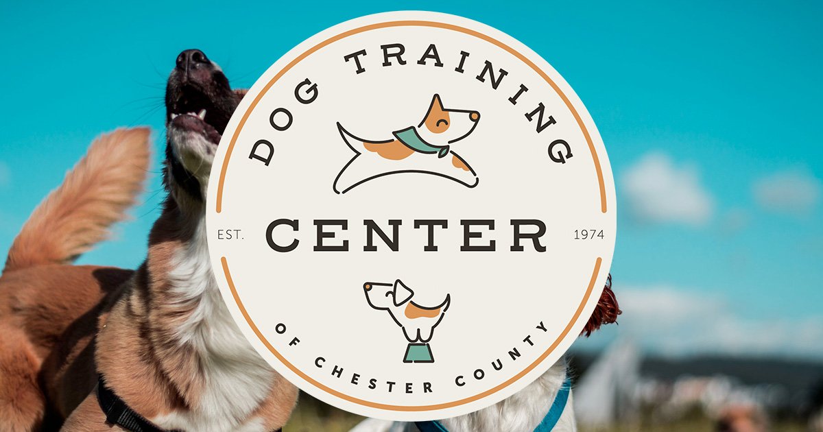 Dog Training Center of Chester County logo