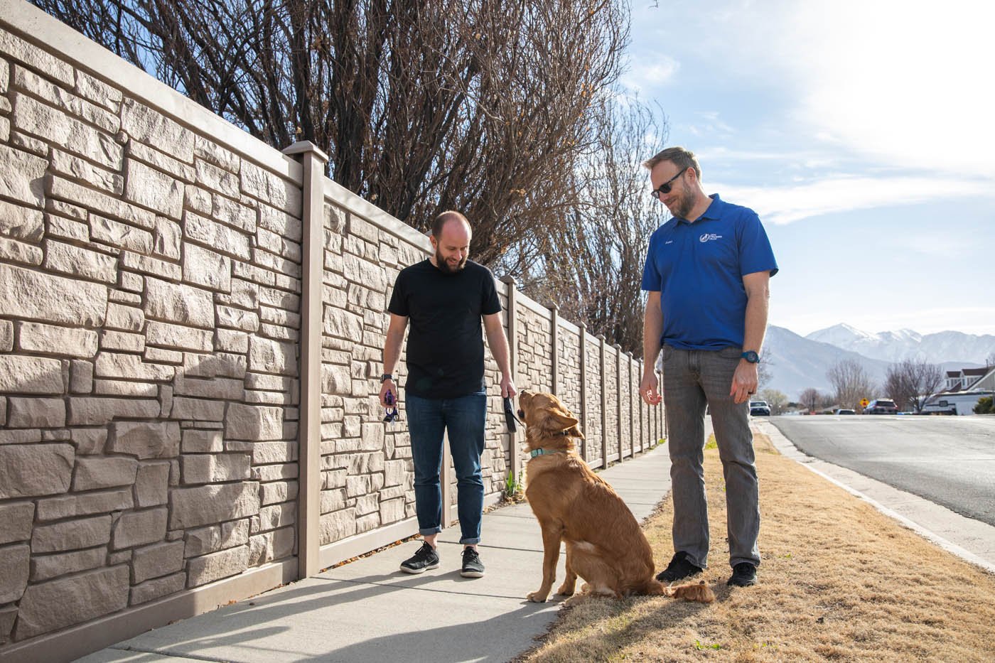 Dog Training Elite Lancaster
