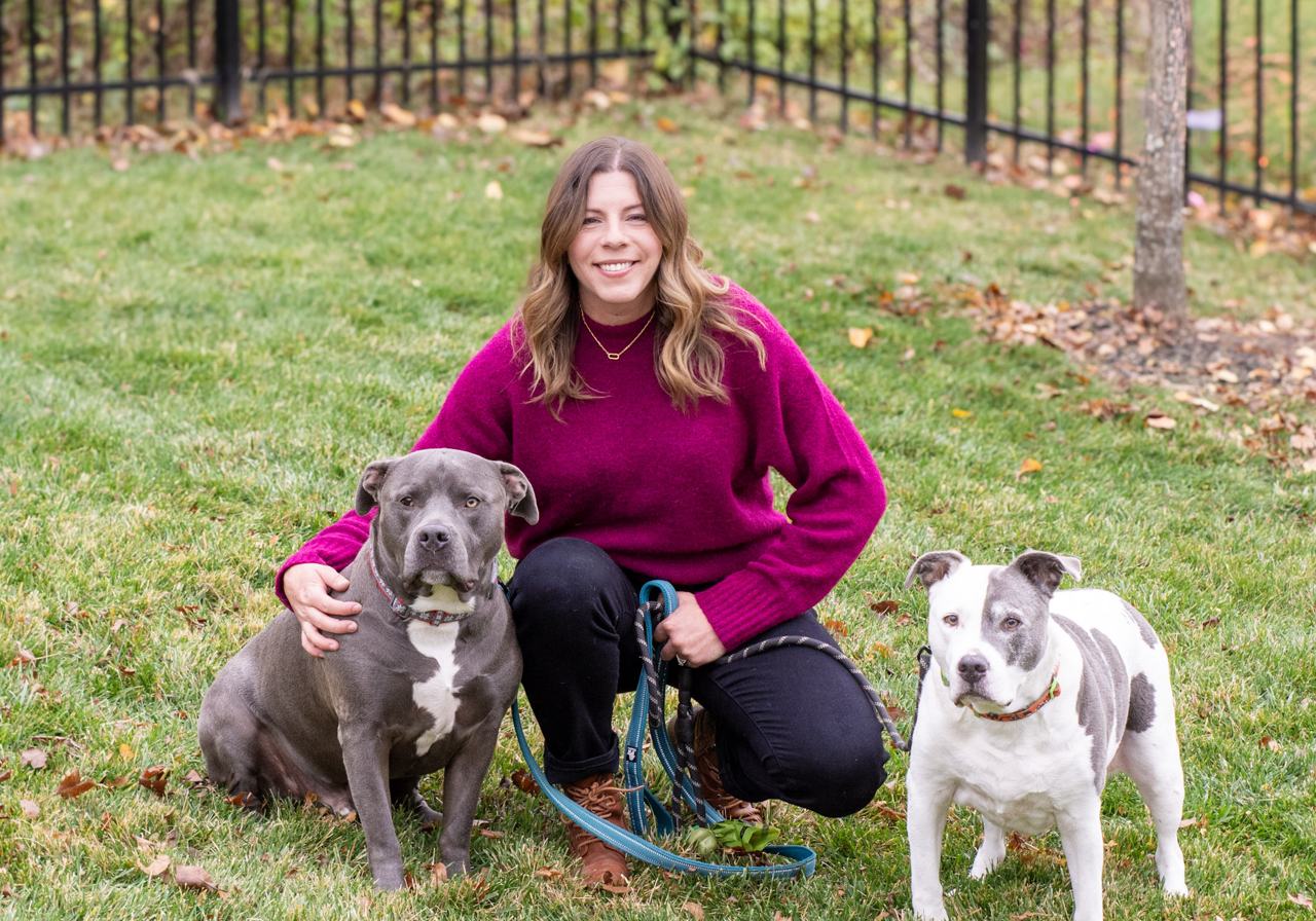 Elevation Dog Training