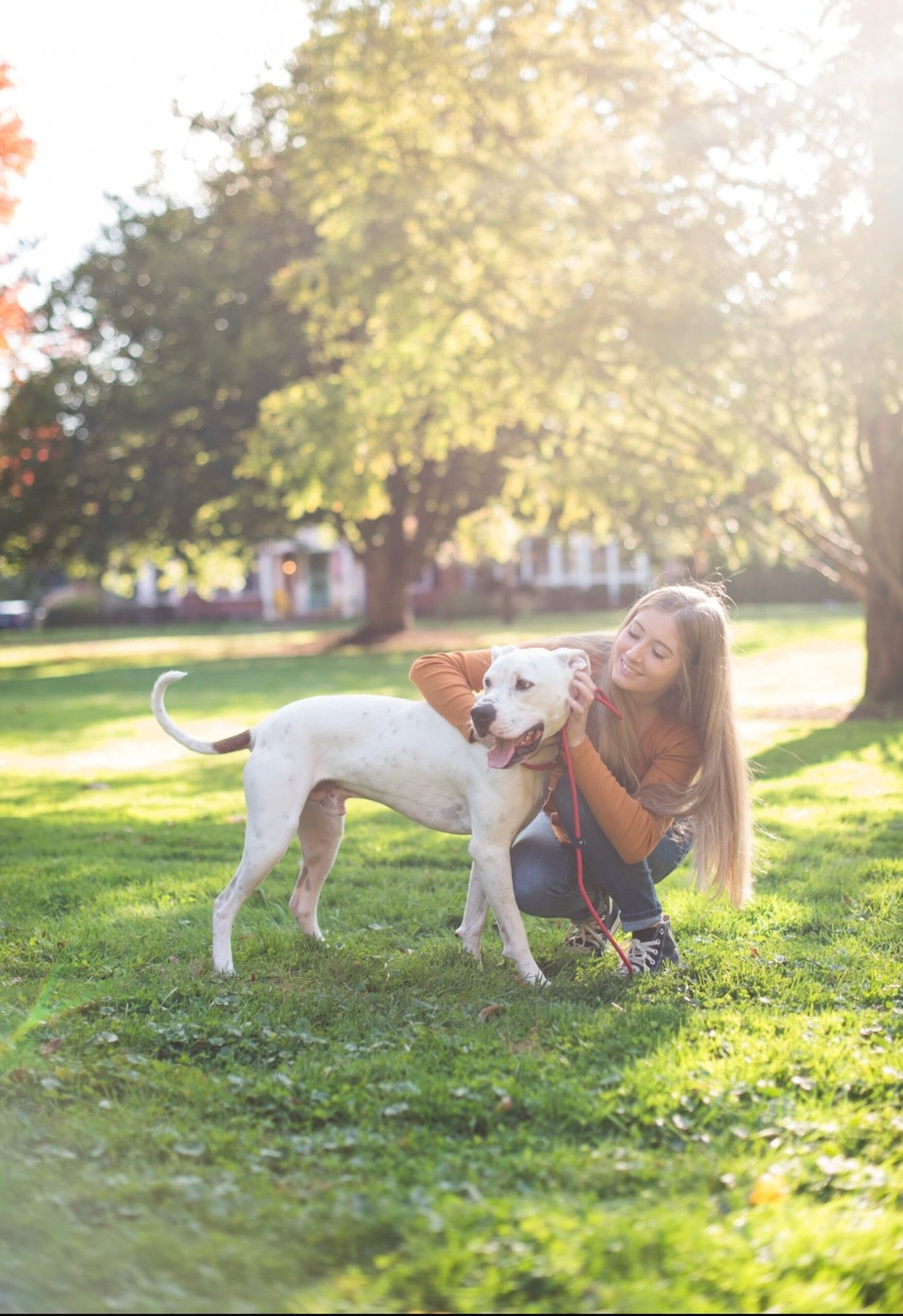 Fetch & Follow Dog Training