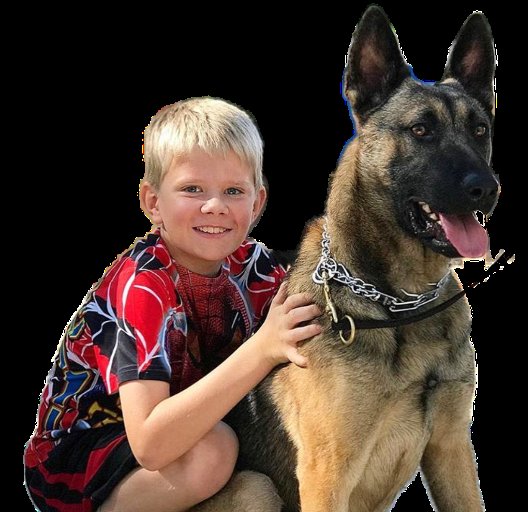 Fortress K9