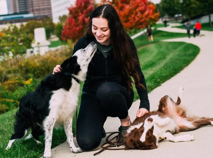 Good Karma Canine Training
