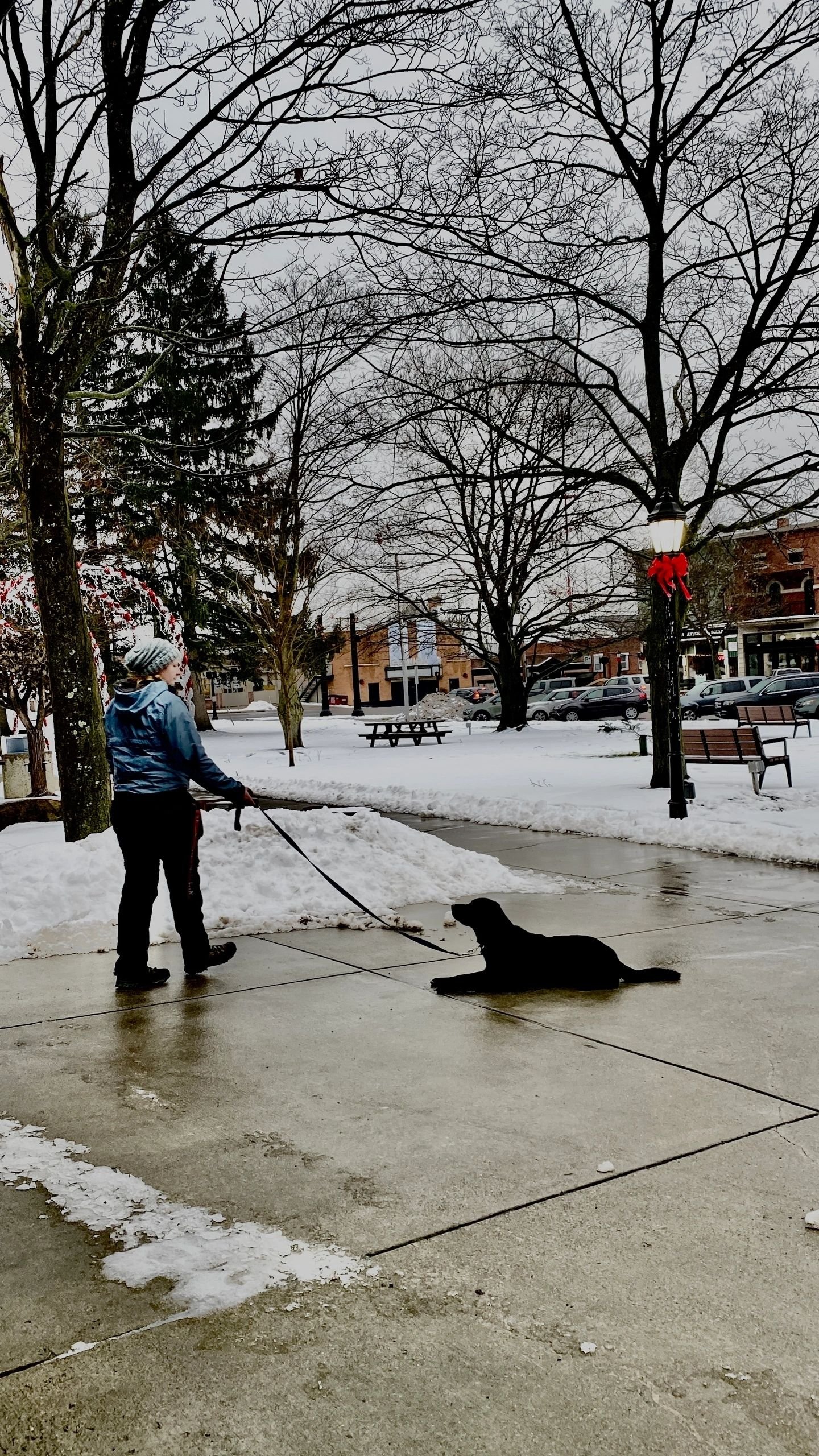 Grand River K-9, LLC — dog trainer in Middletown, OH