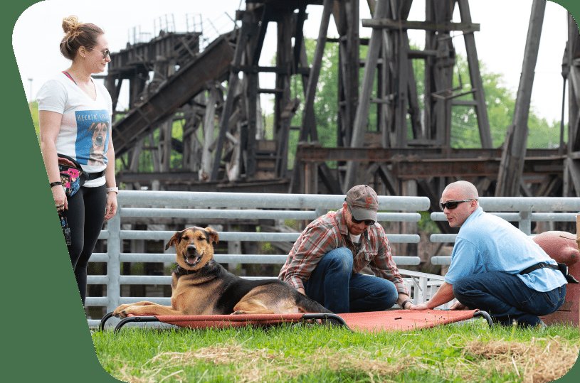 HD Dog Training Llc