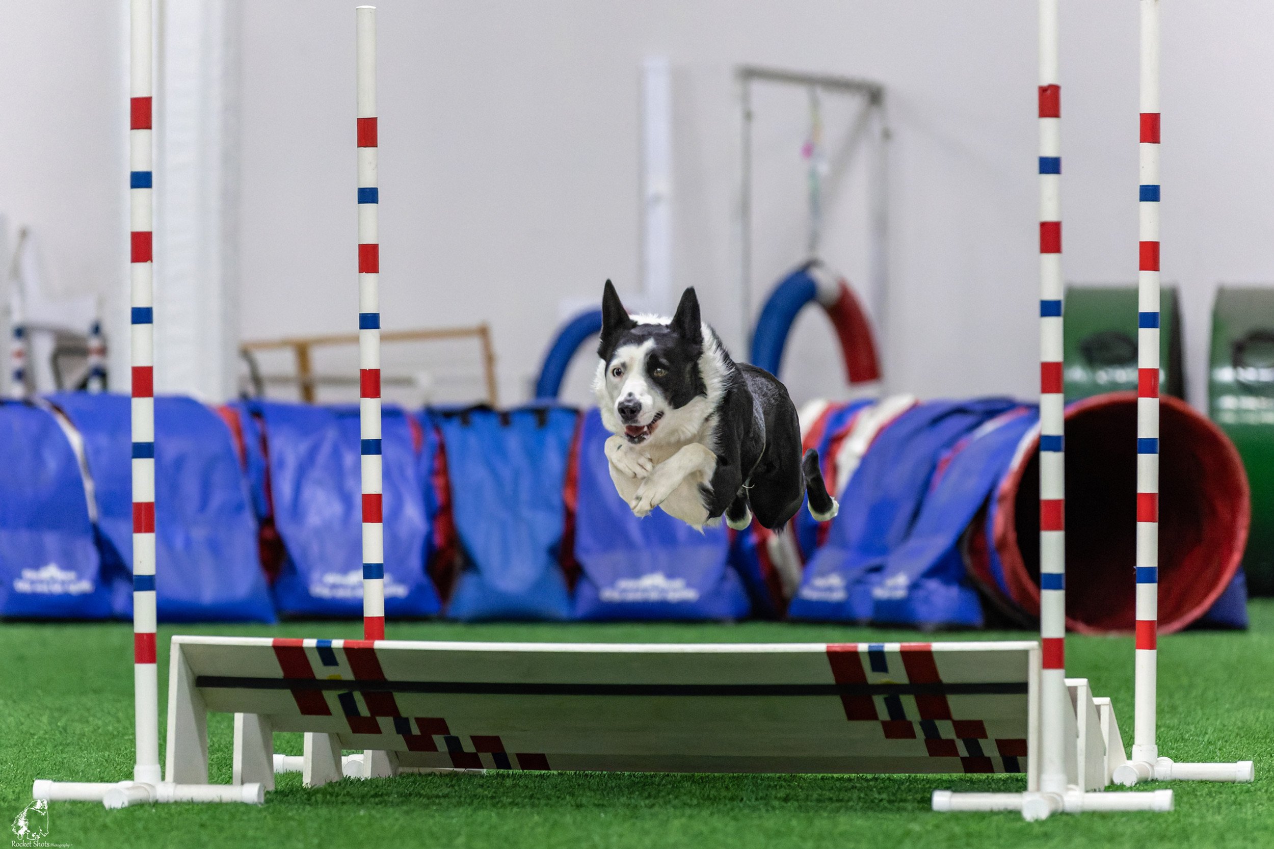 High Octane Agility