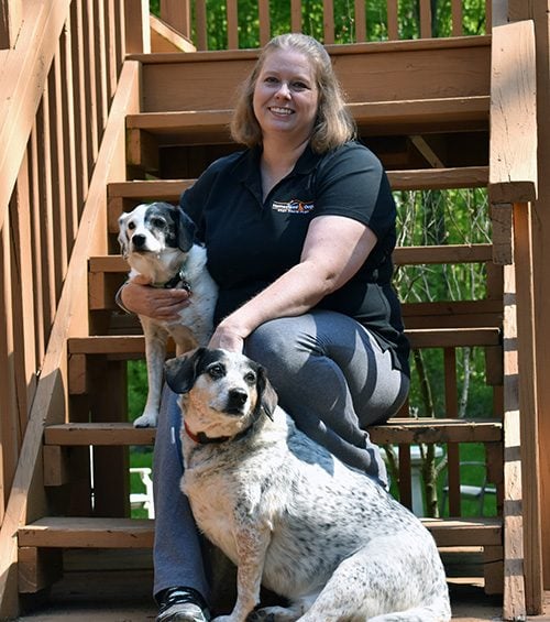 Homestead Dogs