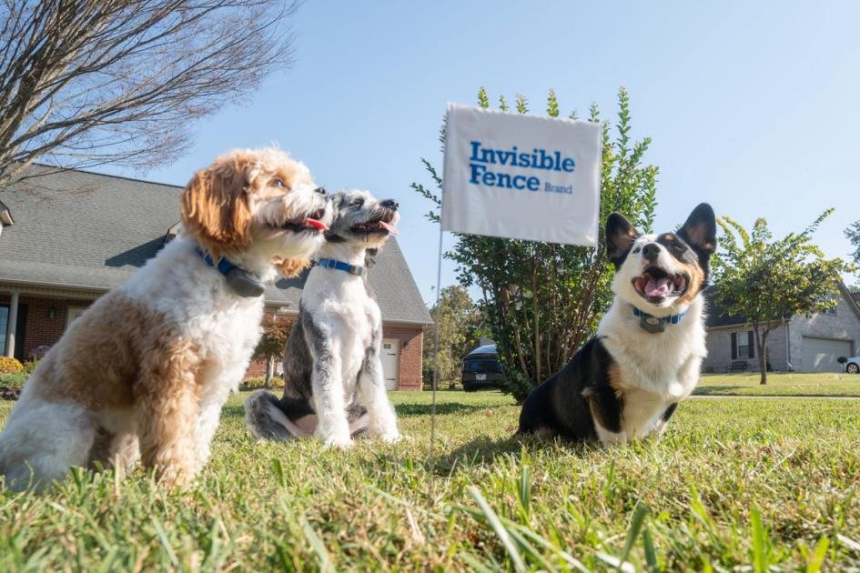 Invisible Fence Brand