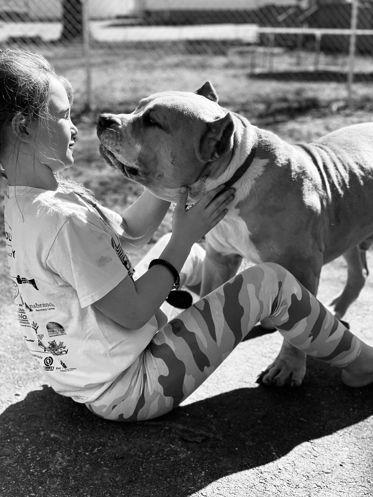 Lead & Learn Canine Solutions