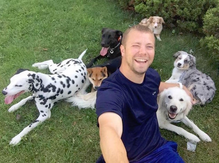Lee’s Dog Training