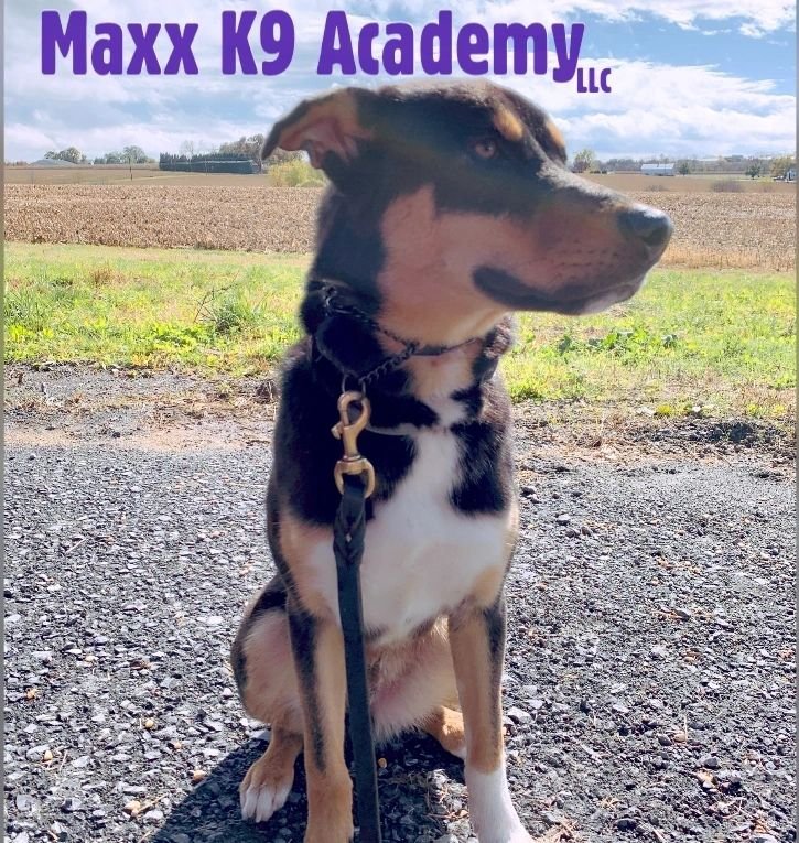 Maxx K9 Academy LLC