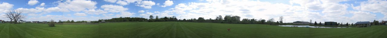 Mutt's Paradise AmuseMutt Park & Dog Training Center — dog trainer in Delaware, OH