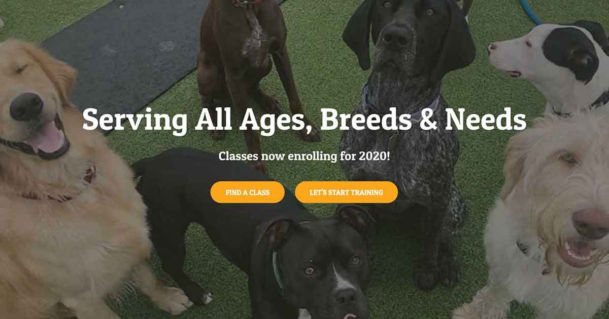 North Pittsburgh Animal Behavior logo