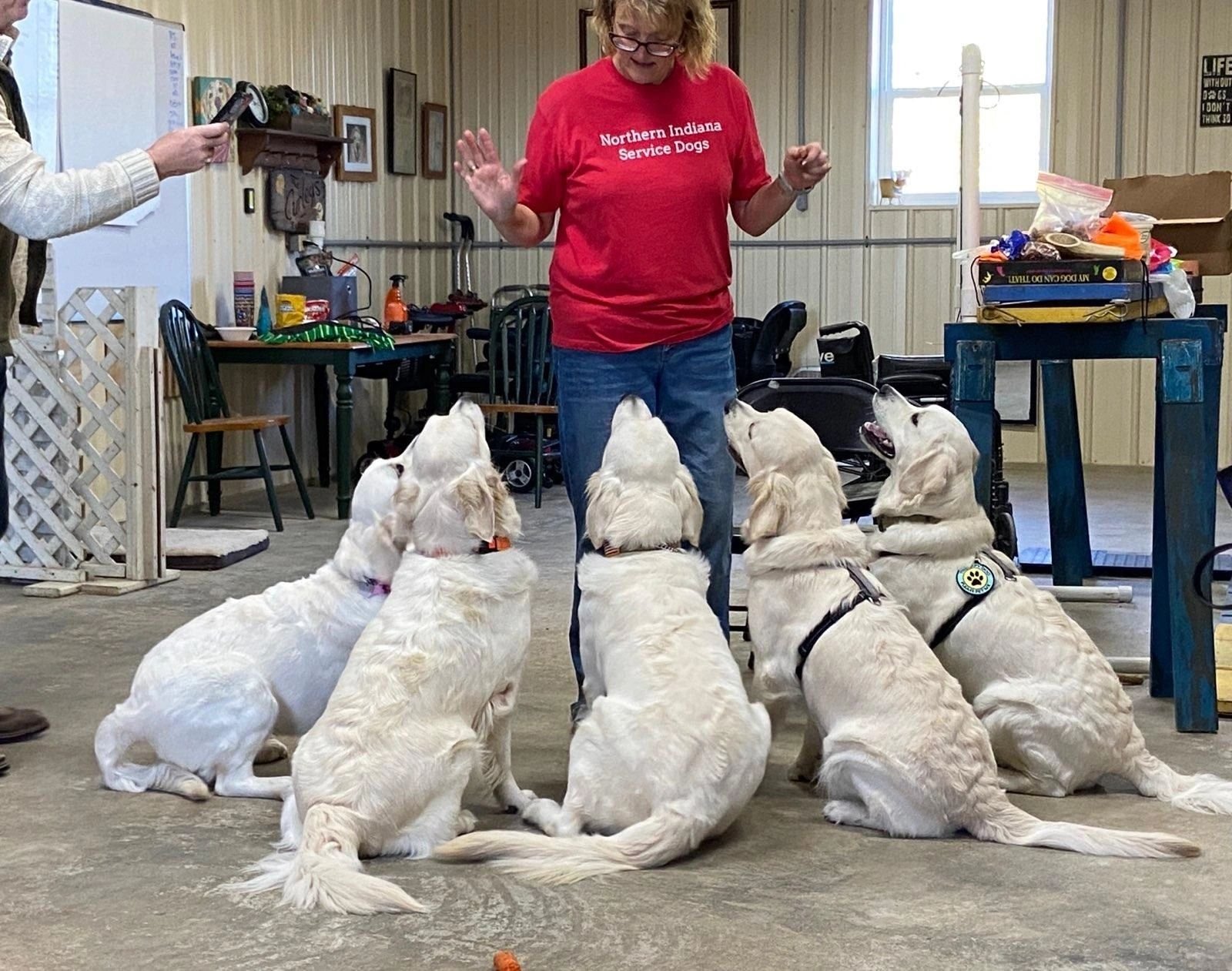 Northern Indiana Service Dogs