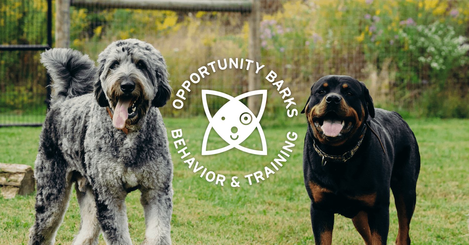 Opportunity Barks Behavior & Training