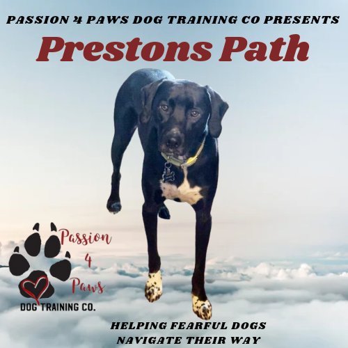 Passion 4 Paws Dog Training Co. logo