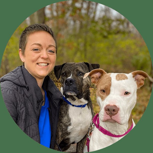 Paw & Order Dog Training Westmoreland