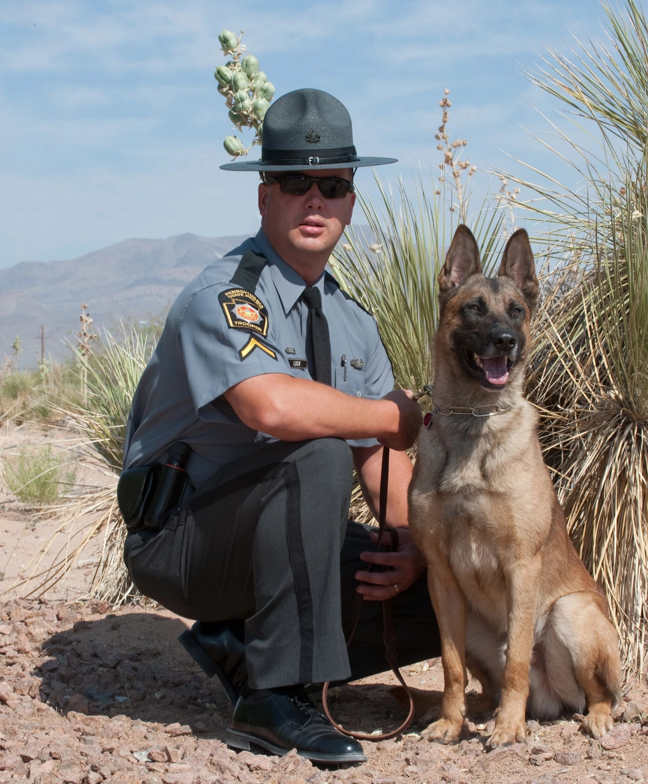 ProActive Dog Training LLC