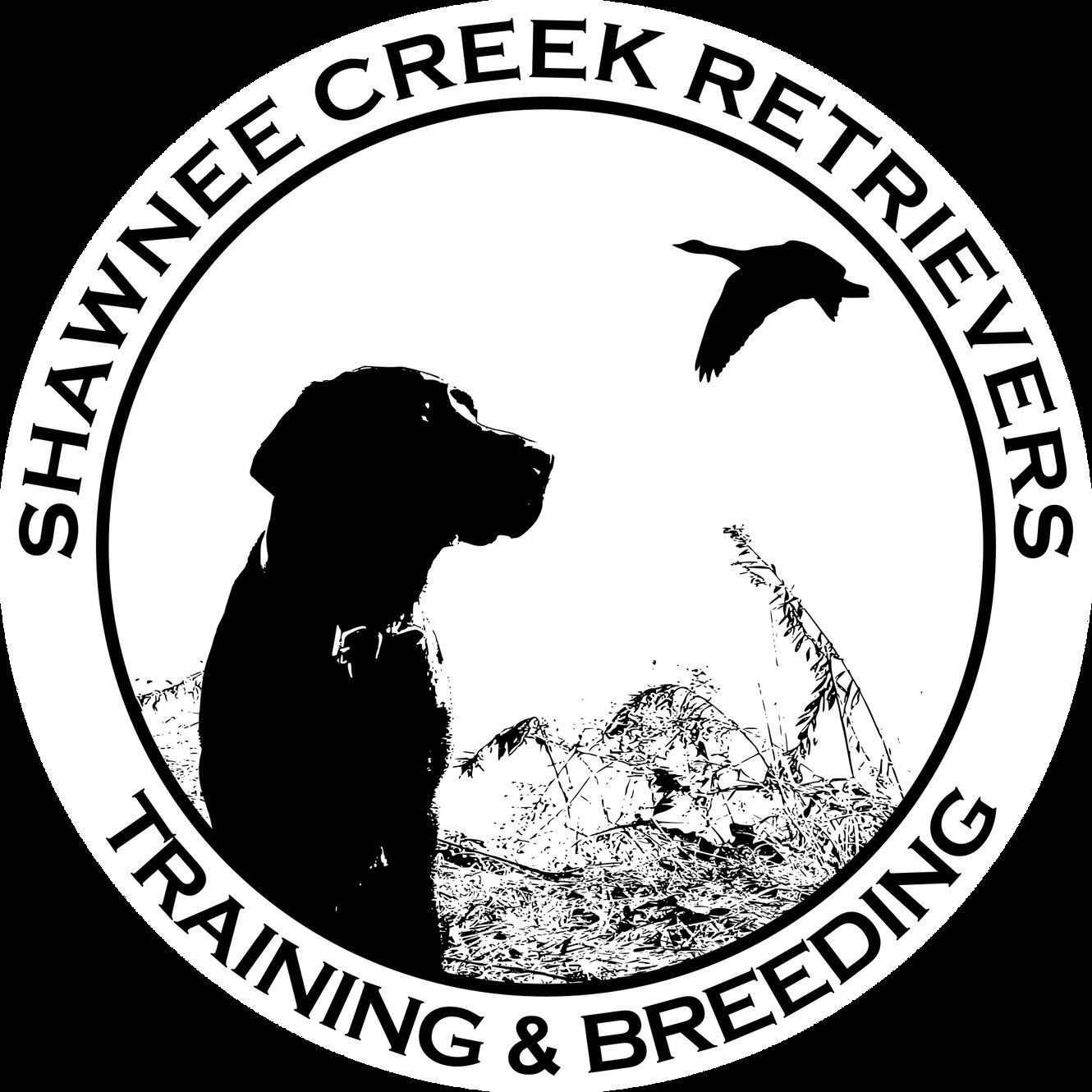 Shawnee Creek Retrievers logo