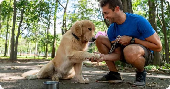 Suburban K9 Dog Training