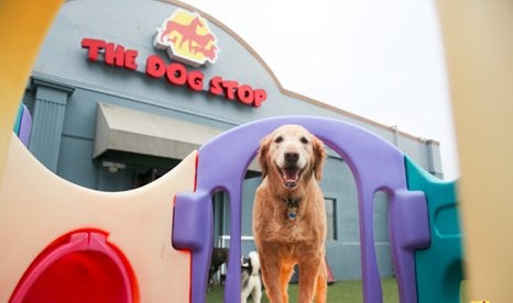 The Dog Stop – Cincinnati Central
