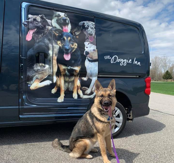 The Doggie Inn