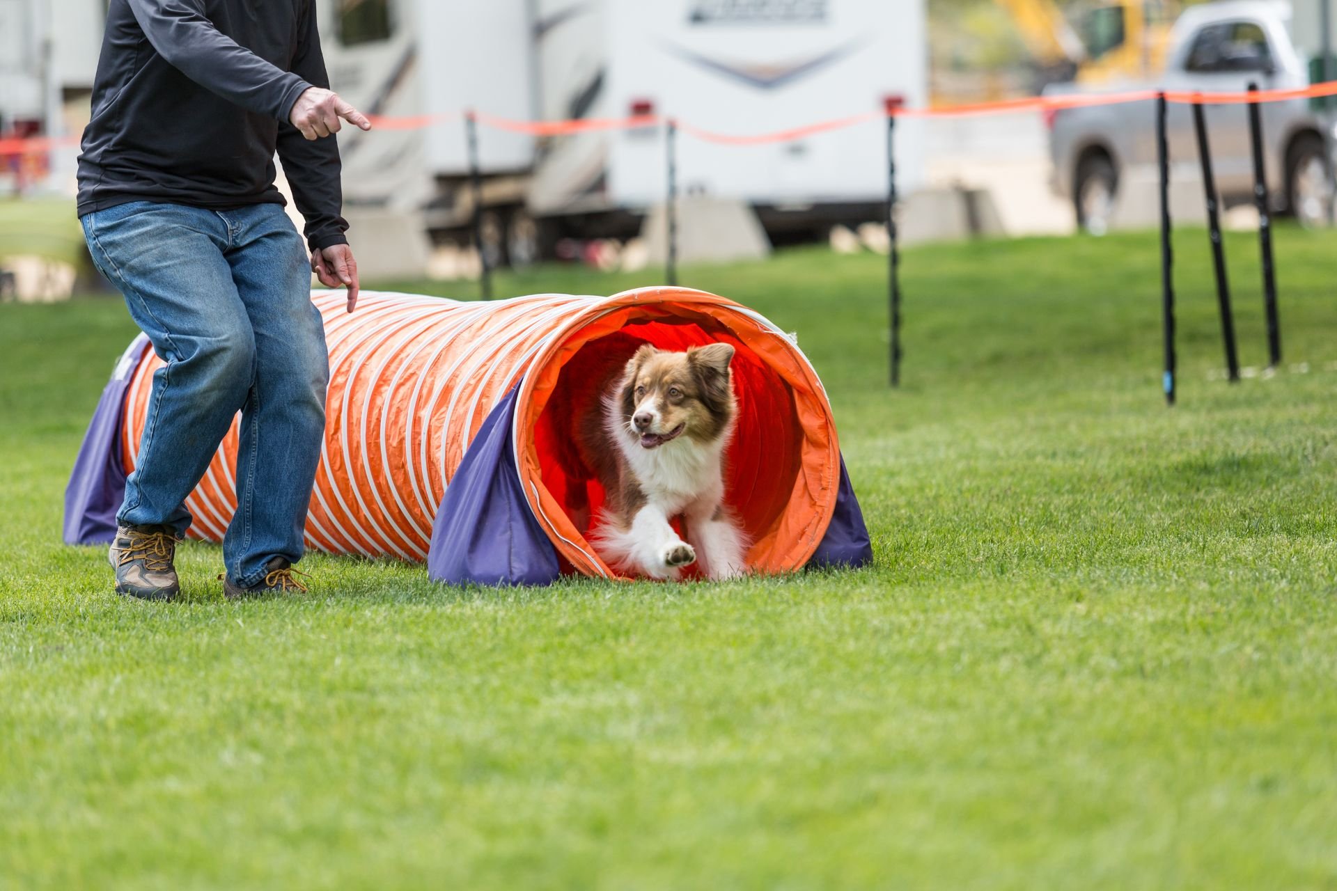 Flyer’s Paw Zone