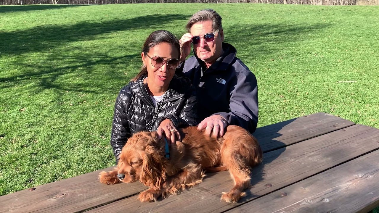 American Caniner Stow Dog Training & Behavioral Modification