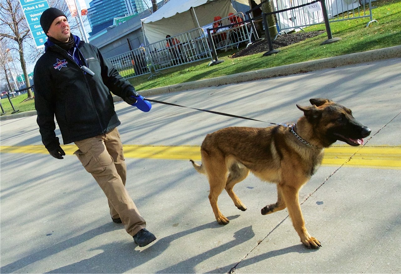 Search Results Excel K-9 Services, Inc.