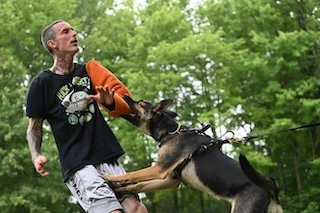 Northeast Ohio Dog Training Network