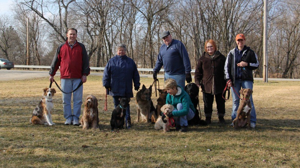 Swamp Dogs K9 Academy