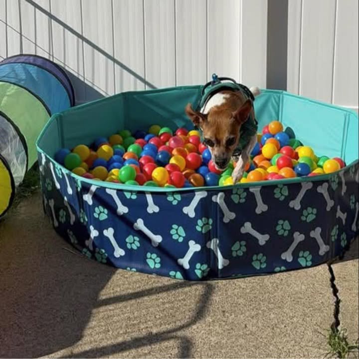 Figleys Kennel Service LLC