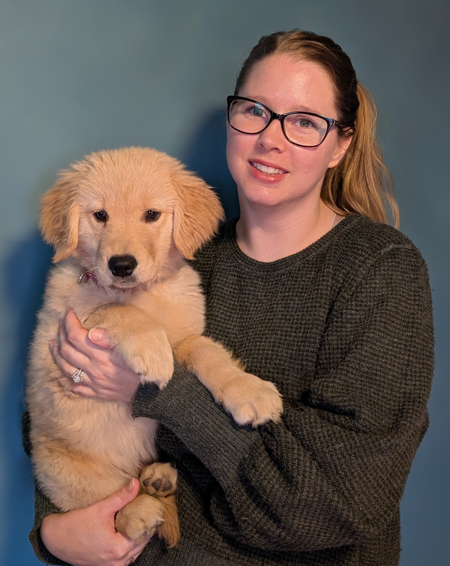 Rowan's Dog Training — dog trainer in Muncie, IN